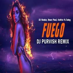 Fuego Remix   DJ Snake, Sean Paul, Anitta ft.Tainy Poster